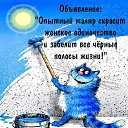 ���� ������, ����-�����������, 48 ��� - ��������� 5 �������� 2020 � ������ ���� ����������