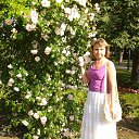 ���� ����, ���������, 49 ��� - ��������� 12 ������� 2020 � ������ ���� ����������