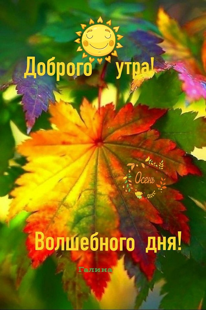   ,    . - 30  2020  22:53 - 5