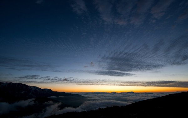 ������� ����� ������� - 29 ������ 2020 � 18:59
