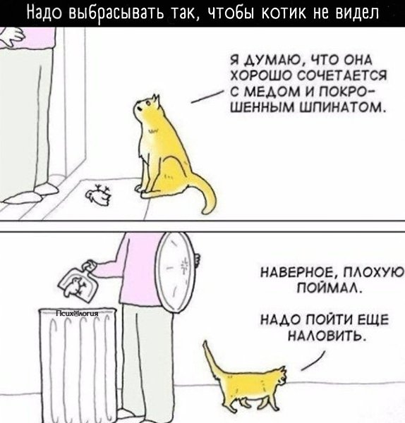 ����� �� ��������