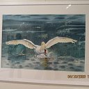 ������� �� �������� ������ ����������� ��������� �� ������ ������ Elena Palmroos. ������� �������������, ���� ����� ����� ��������... �� ������� ����������, �����...�