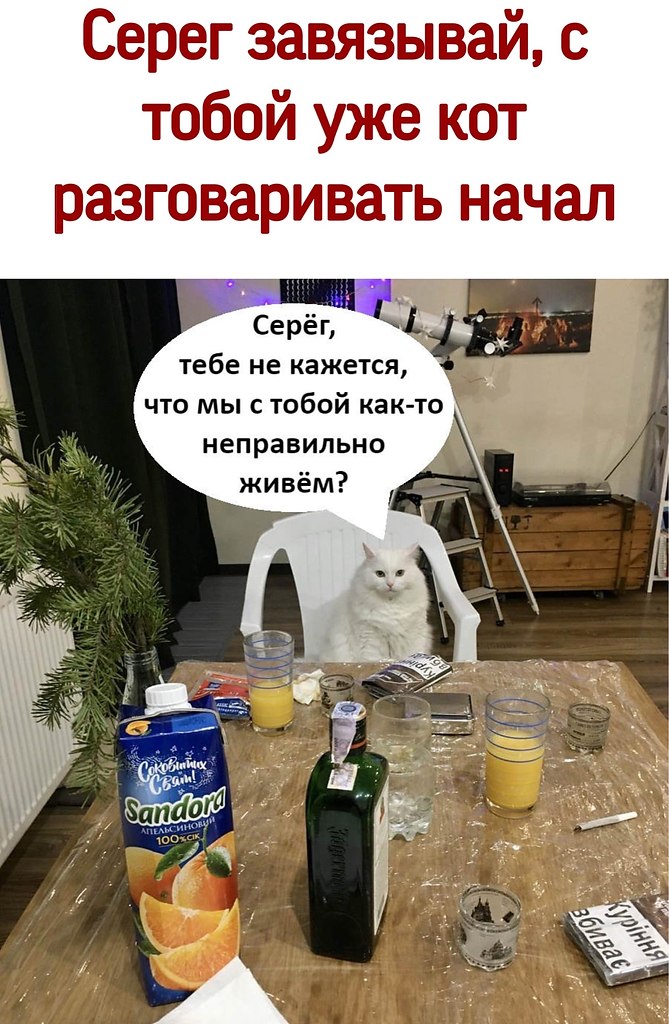 ������ - 29 ������� 2020 � 16:08