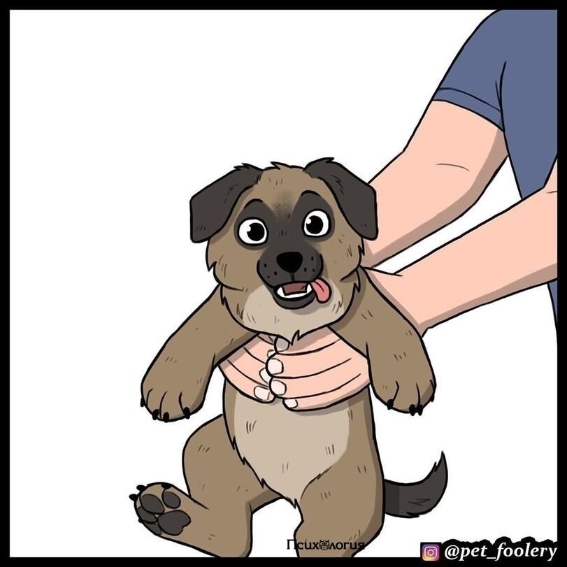        ,   ..   100% 