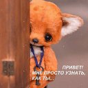 ���� ������ ����-115 ��., �������, 38 ��� - ��������� 7 ������� 2020 � ������ ���� ����������