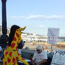 ���� ���������, ������, 82 ���� - ��������� 5 �������� 2020 � ������ ������ ��������