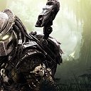 ���� ������, �������� - ��������� 15 ������ 2020 � ������ ���� ����������