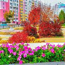 ���� �����, ��������, 67 ��� - ��������� 10 �������� 2020 � ������ �����-����