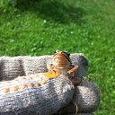 ������� ������� �� ������, � ������� �� ������� ��� ����-��... �� ������� ���������!�