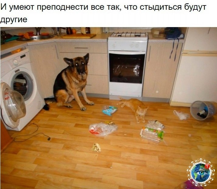 10 p oa e ao oo, o  e e ocaee.)  paa. - 10