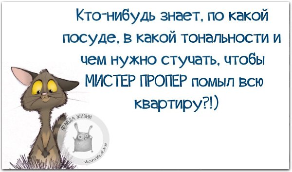   - 8  2021  21:51