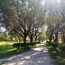 ���� ��������, �����-���������, 53 ���� - ��������� 17 ������� 2020 � ������ ���� ����������