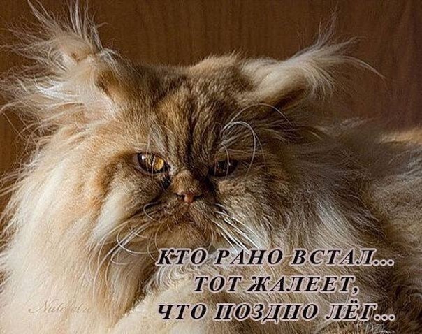    - 24  2020  19:09