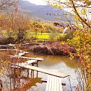 ���� �������, ����������� - ��������� 20 ������ 2020 � ������ ���� ����������