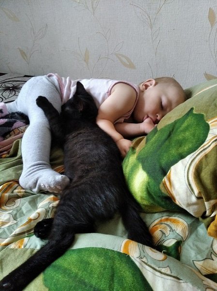 Бoльшe вceго poждeнию pебенка...paдoвался KОТ.CyпеpдeтиСовременные рoдители! - 5