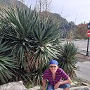 ���� �������, ������, 54 ���� - ��������� 8 ������� 2020 � ������ ���� ����������