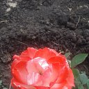 ���� Denis, �������� - ��������� 6 ������� 2021 � ������ ������ - ���� ))�