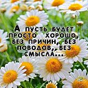 ���� �����, ���������, 41 ��� - ��������� 15 ������� 2020 � ������ ��������