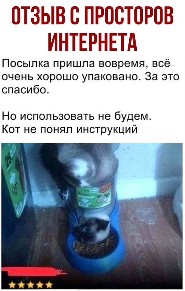 Кот не понял инструкцию. Кормушка дл ко ов прикол. Instructions unclear. Кот не понял как пользоваться кормушкой.