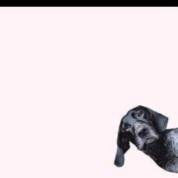 Natalia, ���������, 46 ���