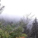 ���� �����, ��������, 53 ���� - ��������� 12 ������� 2020 � ������ �Verbrannte Felsen�