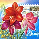 ���� ������, ������, 72 ���� - ��������� 7 ����� 2021 � ������ ������ ��������