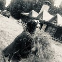 ���� ��������, �����, 54 ���� - ��������� 19 ������� 2020 � ������ ���� ����������