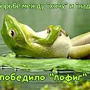 ���� �����, ����������� - ��������� 5 ������ 2020 � ������ ���� ����������
