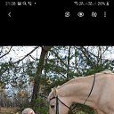 ���� �arika, ������, 55 ��� - ��������� 27 ������� 2020 � ������ ���� ����������