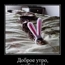 ���� �������, ������, 49 ��� - ��������� 18 �������� 2020 � ������ ������ ��������