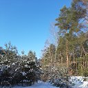 ���� ����, �����-���������, 66 ��� - ��������� 9 ������� 2021 � ������ ������ ��������