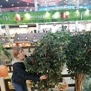 ���� ��������, �������, 58 ��� - ��������� 9 ������� 2020 � ������ ���� ����������