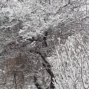 ����� ��� 15 ������ 2021 �� ������� ���� ����������