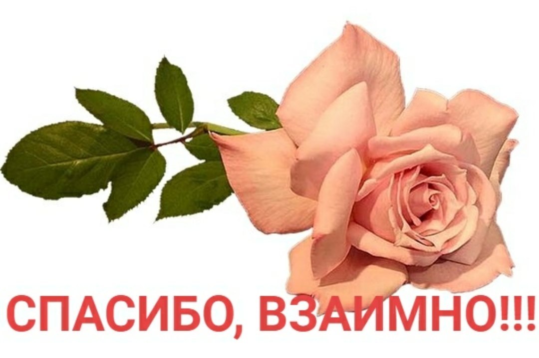   ,    . - 29  2020  15:22 - 5