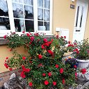 ���� ������� �������,, �����������, 79 ��� - ��������� 20 ������� 2021 � ������ ���� ����������