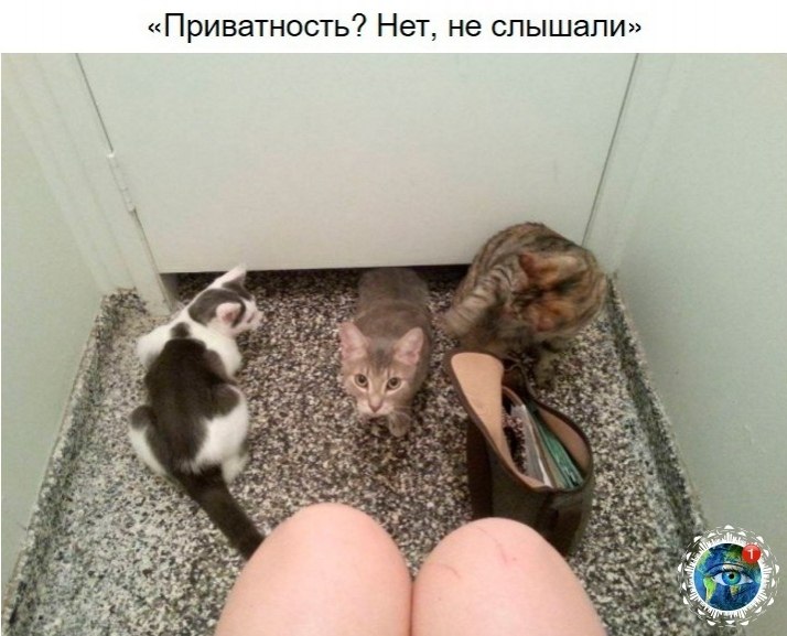 10 p oa e ao oo, o  e e ocaee.)  paa. - 6