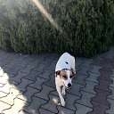 ��� ��� �� ������� �������� ����������� �� �����-������������� ��������� ������ 2020�