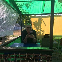 ����, �������, 65 ���