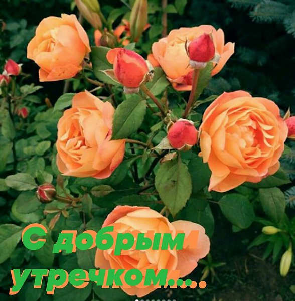   ,    . - 27  2020  00:33