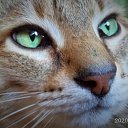 ���� Rina, �����-���������, 53 ���� - ��������� 23 ������� 2020 � ������ ���� ��� ������ ����� )�