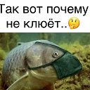 ���� ������, �������, 32 ���� - ��������� 26 ������� 2020 � ������ ���� ����������