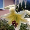 ���� �����, ������, 44 ���� - ��������� 6 ������� 2020