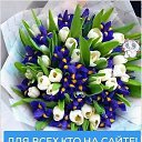 ���� �����, ��� - ��������� 2 �������� 2020 � ������ ���� ����������