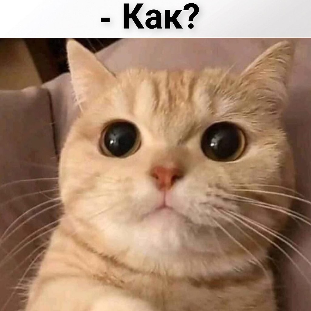       - 8  2021  16:03 - 3