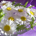 ���� �������, ����, 51 ��� - ��������� 20 ������� 2020 � ������ ���� ����������