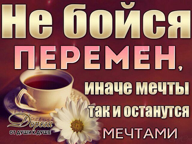   ,    . - 30  2021  18:35 - 10