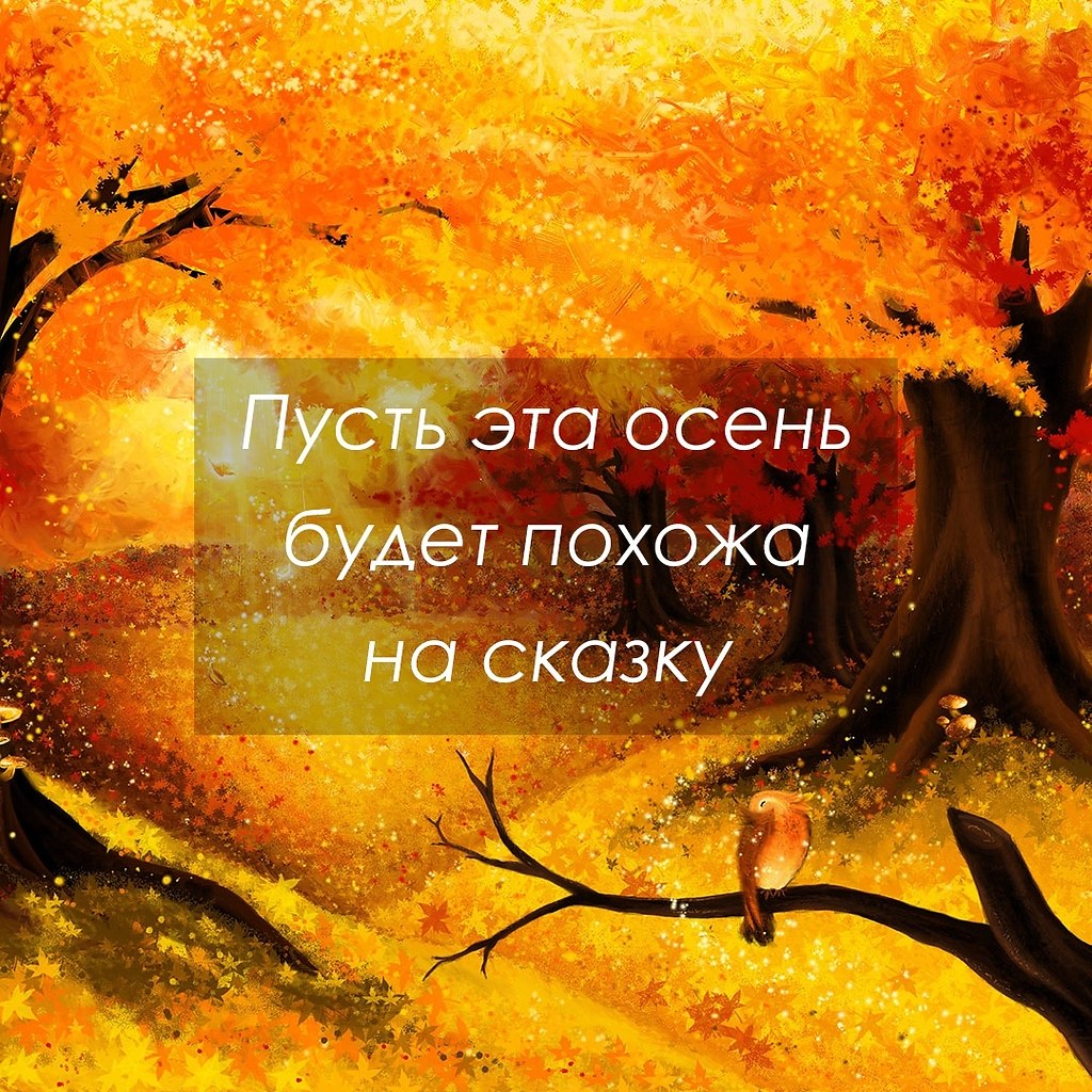   - 2  2020  21:38