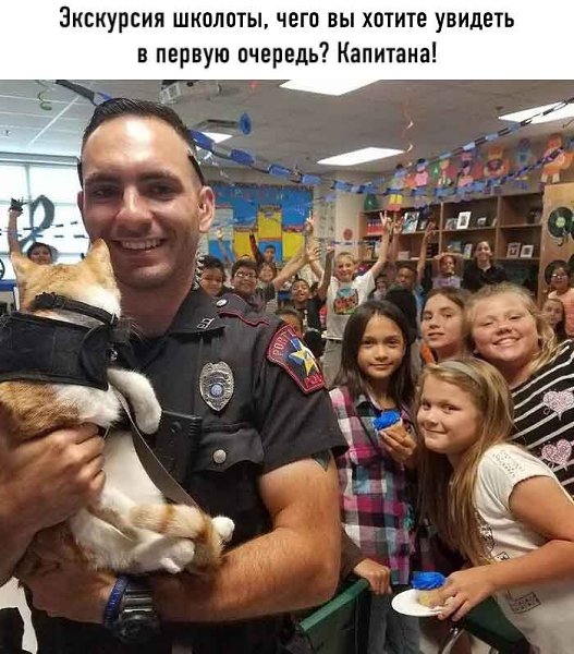 Он вошёл в участок, будто всегда был тут начальником, естественно все стали звать его Капитан - 9