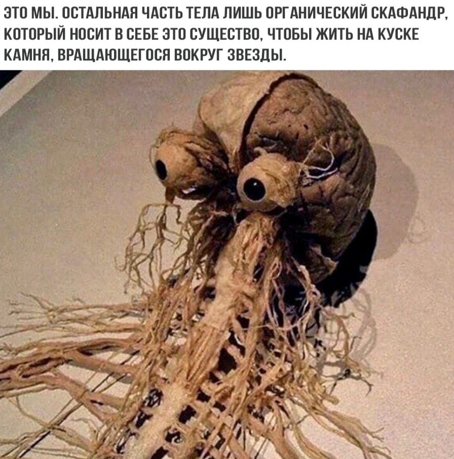 BEST | , ,  - 12  2020  19:07