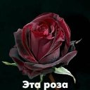 ���� ^ L^, ���� - ��������� 8 ����� 2021 � ������ ������ ��������